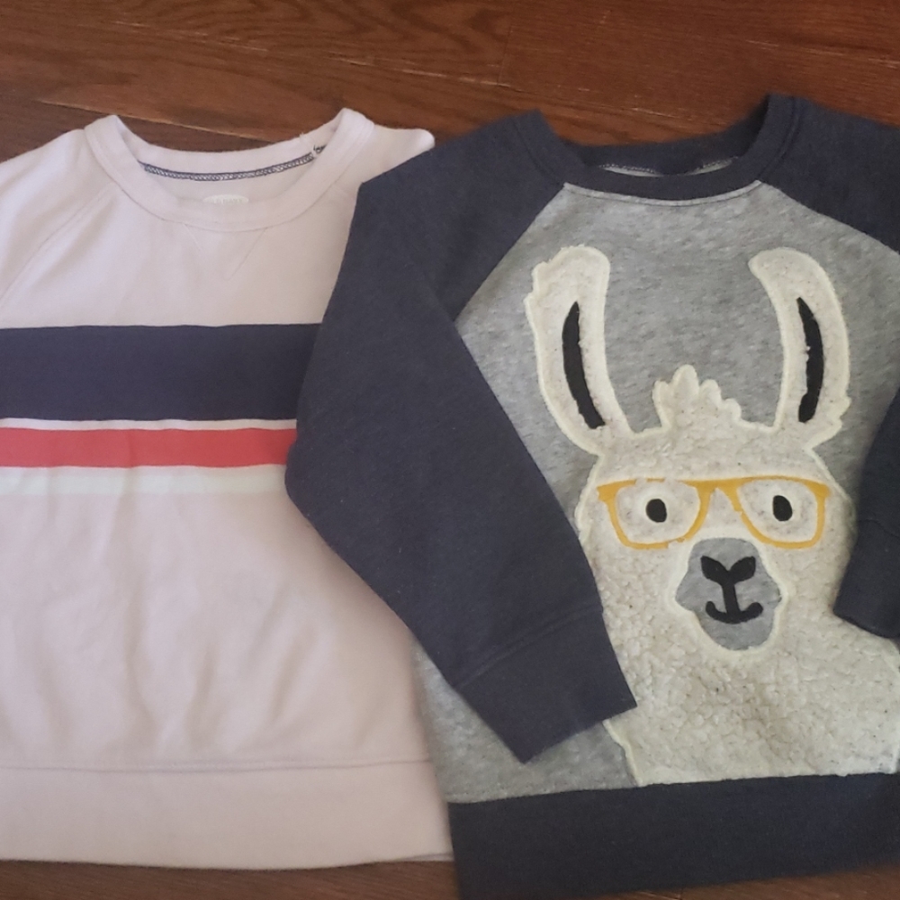 Toddler Boys Sweatshirt Bundle